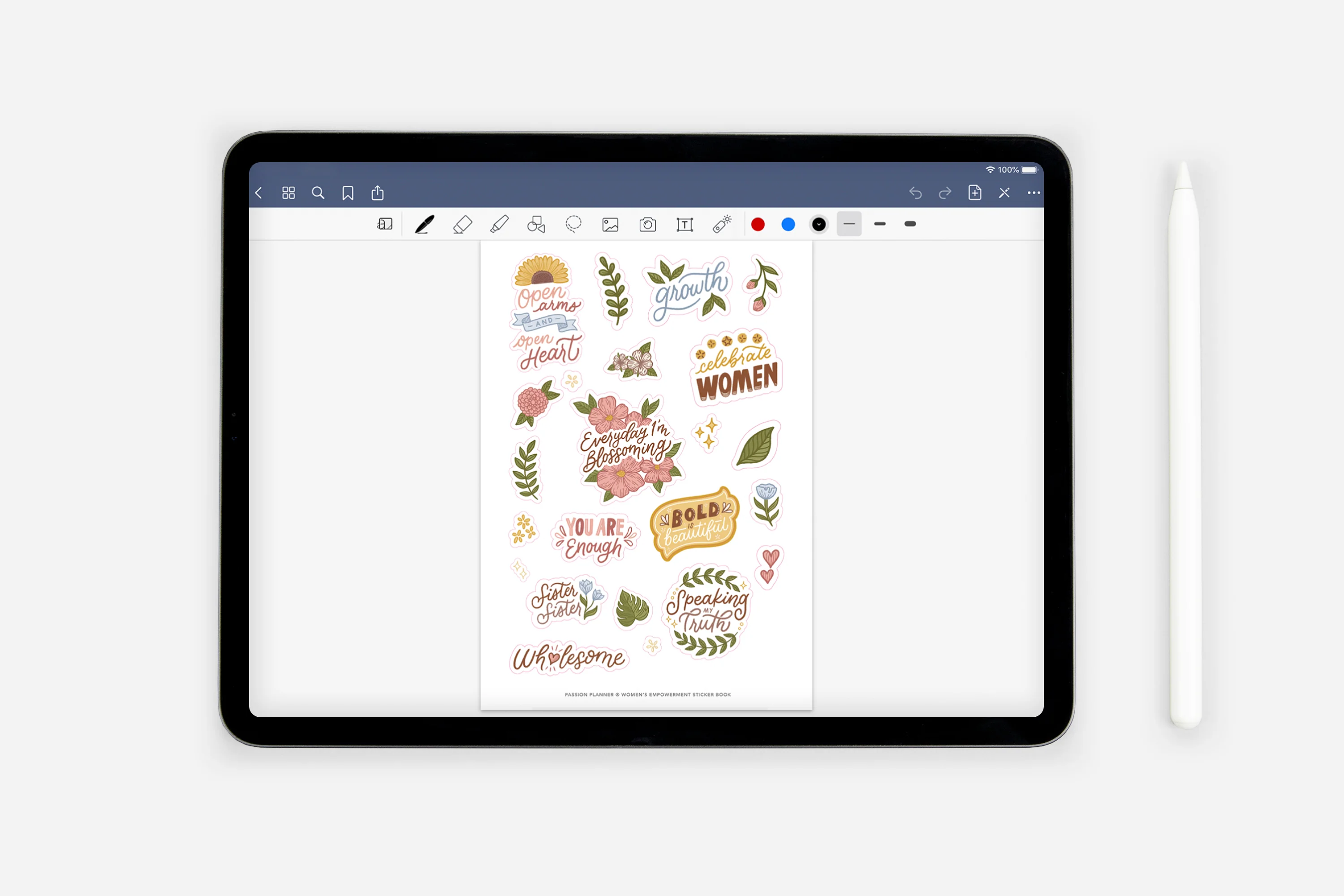 Digital Women's Empowerment Sticker Book - Image 2